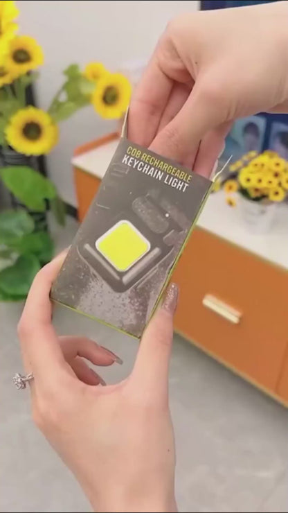 Flash Light Keychain Light